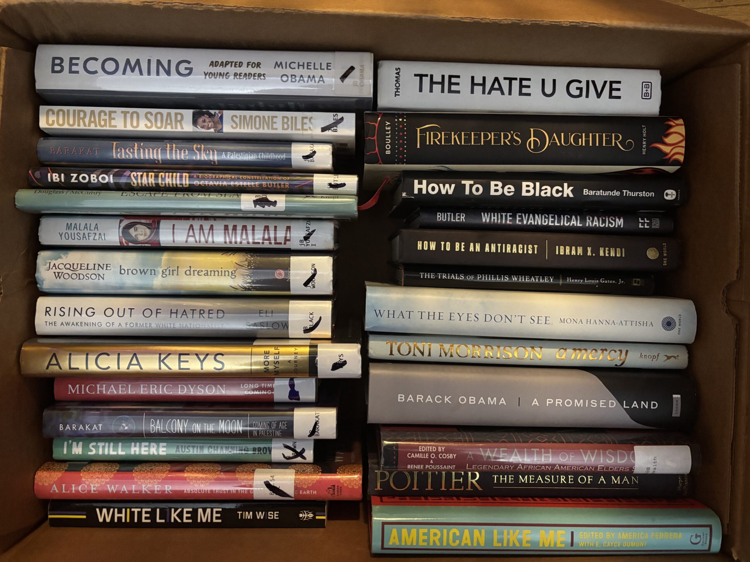 Little Free Library Books