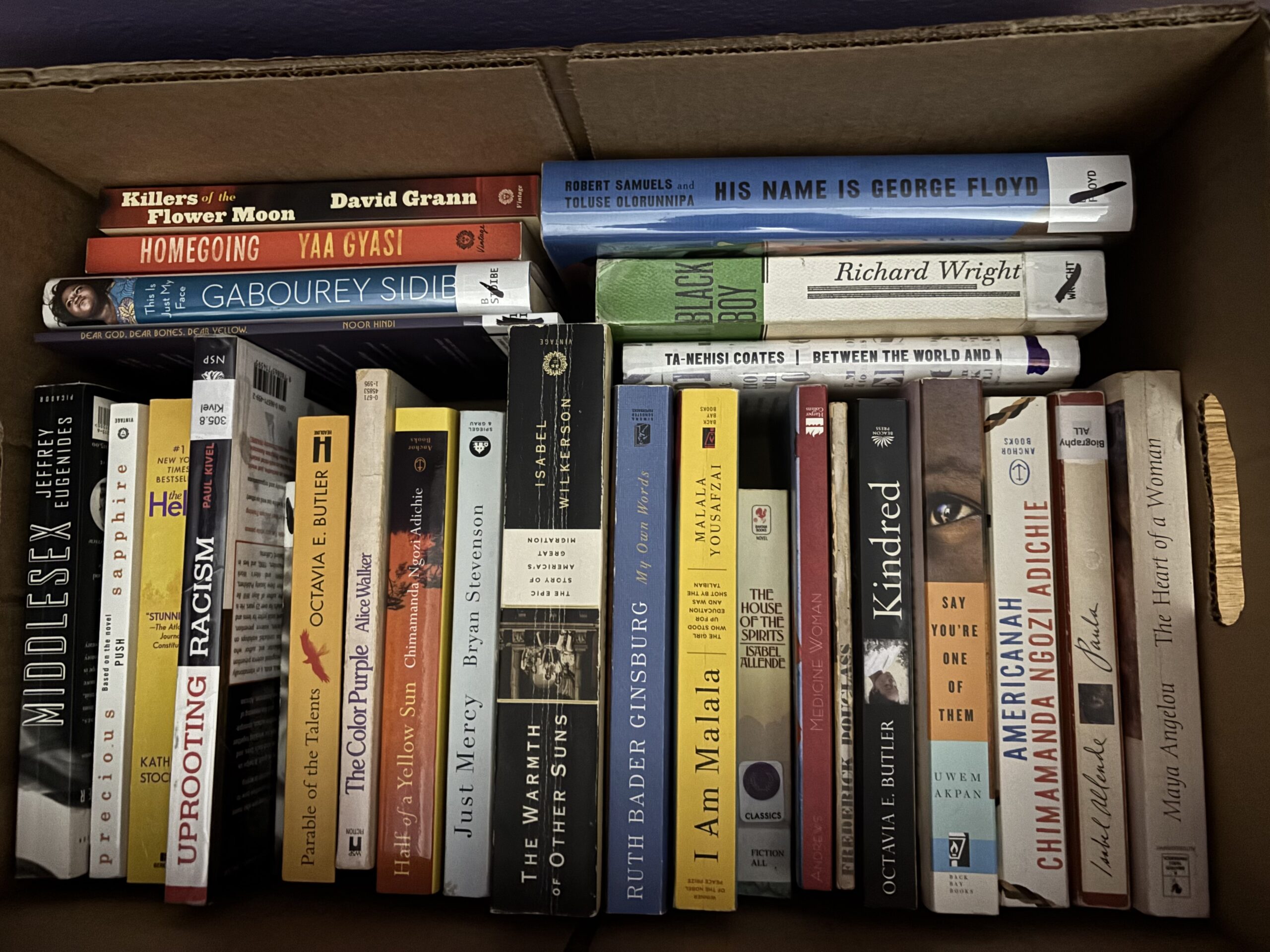Little Free Library Books